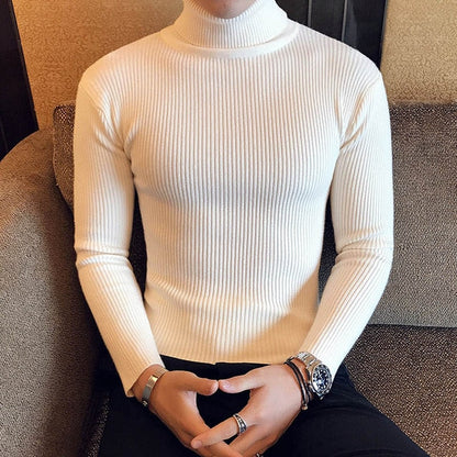 Brand Men Turtleneck Sweaters and Pullovers New Fashion Knitted Sweater Winter Men Pullover Homme Wool Casual Solid Clothes