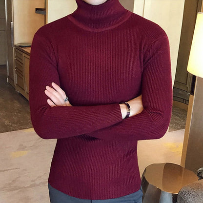 Brand Men Turtleneck Sweaters and Pullovers New Fashion Knitted Sweater Winter Men Pullover Homme Wool Casual Solid Clothes